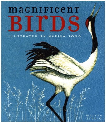 Magnificent Birds