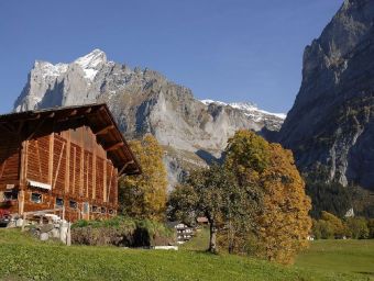 Grindelwald - 1.000 Teile (Puzzle)