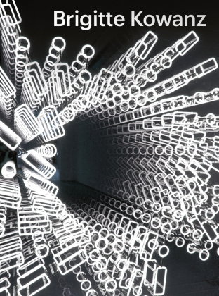 Brigitte Kowanz - Light is what we see