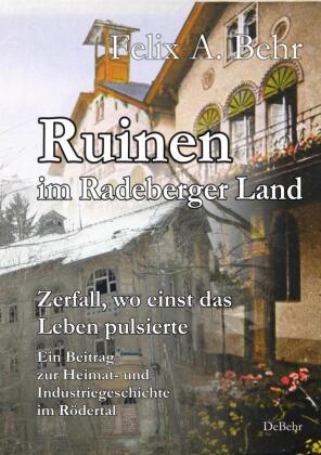 Ruinen im Radeberger Land - Zerfall, wo einst das Leben pulsierte - Ein Beitrag zur Heimat- und Indu