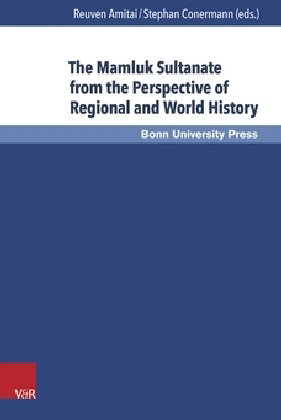 The Mamluk Sultanate from the Perspective of Regional and World History