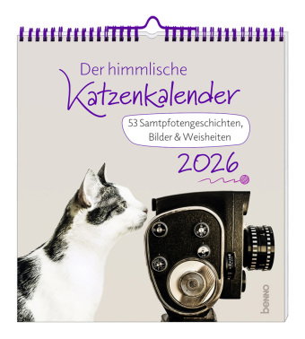 Der himmlische Katzenkalender 2026