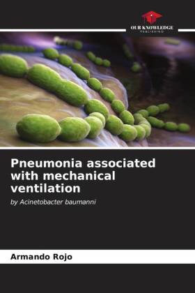 Pneumonia associated with mechanical ventilation