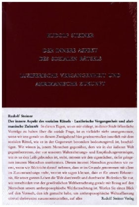 Der innere Aspekt des sozialen Rätsels
