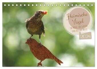 Heimische Vögel - Im Wald, im Garten und auf der Wiese (Tischkalender 2024 DIN A5 quer), CALVENDO Mo