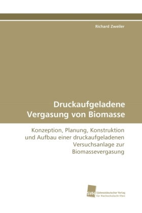 Druckaufgeladene Vergasung von Biomasse