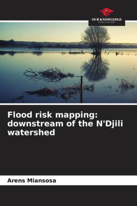 Flood risk mapping: downstream of the N'Djili watershed
