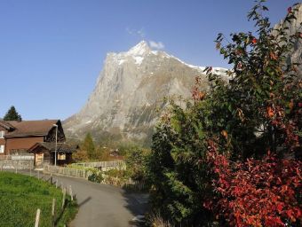 Grindelwald - 500 Teile (Puzzle)