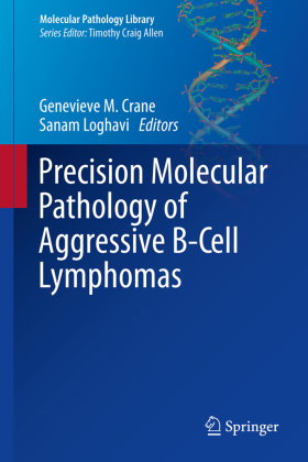 Precision Molecular Pathology of Aggressive B-Cell Lymphomas