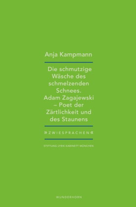 Die schmutzige Wäsche des schmelzenden Schnees