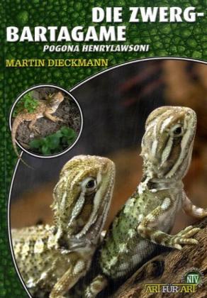 Die Zwergbartagame