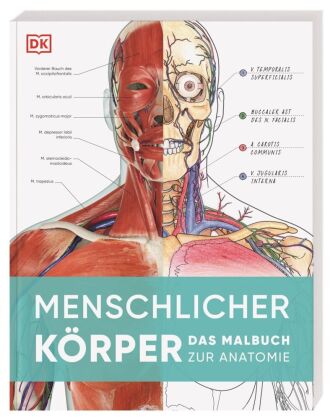 Menschlicher Körper