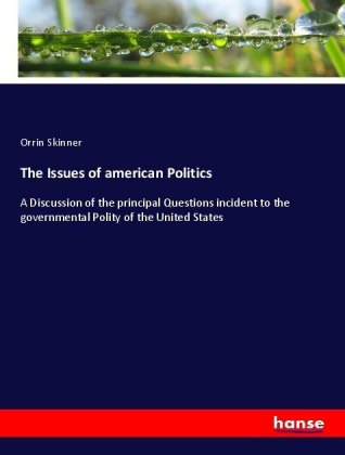 The Issues of american Politics