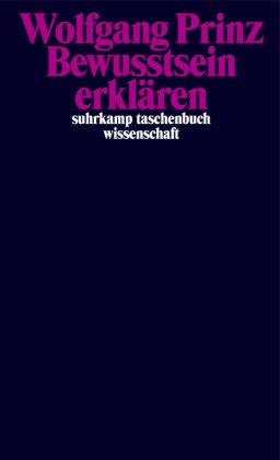 Bewusstsein erklären