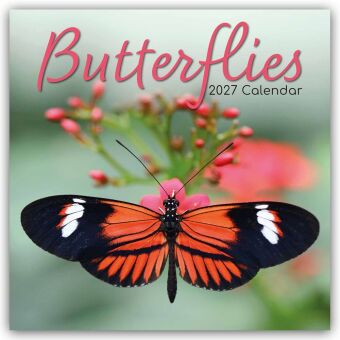 Butterflies - Schmetterlinge 2027 - 16-Monatskalender