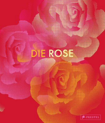 Die Rose