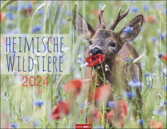 Heimische Wildtiere Kalender 2024. Von Igel bis Wildschein: Naturkalender im Großformat mit heimisch