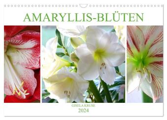 Amaryllis-Blüten (Wandkalender 2024 DIN A3 quer), CALVENDO Monatskalender