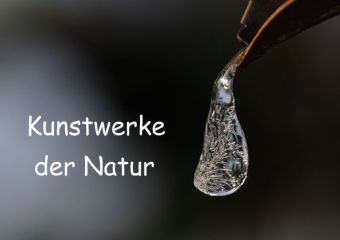 Kunstwerke der Natur (Posterbuch DIN A4 quer)