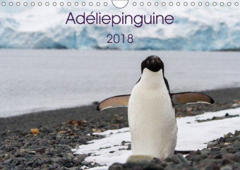Adéliepinguine (Wandkalender 2018 DIN A4 quer) Dieser erfolgreiche Kalender wurde dieses Jahr mit gl