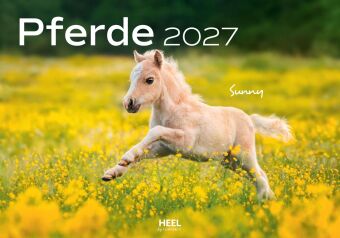 Pferde Kalender 2027 Wandkalender