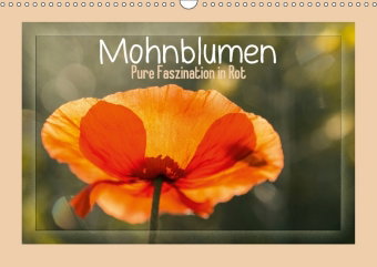 Mohnblumen - Pure Faszination in Rot (Wandkalender 2018 DIN A3 quer)