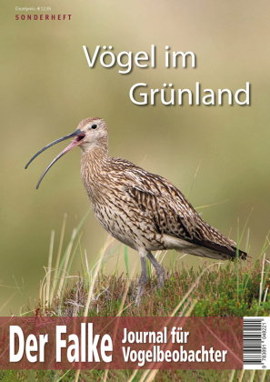 Vögel im Grünland