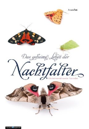 Das geheime Leben der Nachtfalter