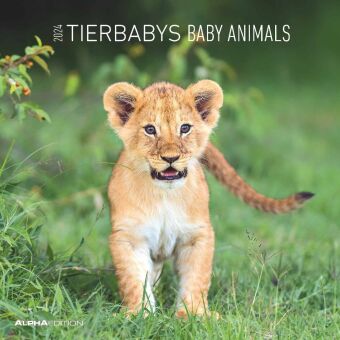 Tierbabys 2024 - Broschürenkalender 30x30 cm (30x60 geöffnet) - Kalender mit Platz für Notizen - Bab