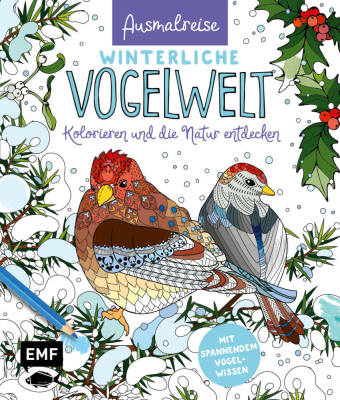 Ausmalreise Winterliche Vogelwelt