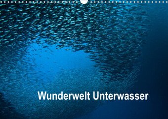 Wunderwelt Unterwasser (Wandkalender 2023 DIN A3 quer)