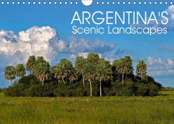 Argentina's Scenic Landscapes (Wall Calendar 2019 DIN A4 Landscape)