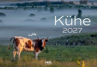 Kühe Kalender 2027 Wandkalender