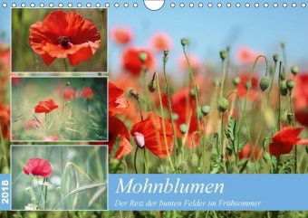 Mohnblumen (Wandkalender 2018 DIN A4 quer)