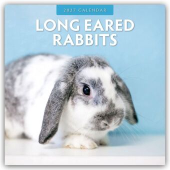 Long Eared Rabbits - Langohrhasen 2027 - 16-Monatskalender
