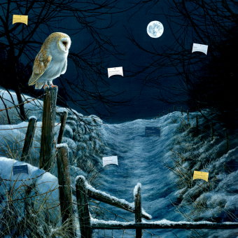 Zettel-Adventskalender - Magie und Mythos der Winter-Weihnacht