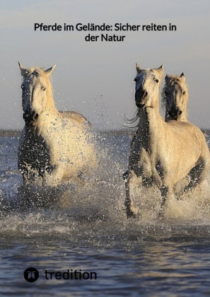 Pferde im Gelände: Sicher reiten in der Natur
