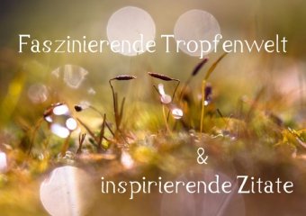 Faszinierende Tropfenwelt - inspirierende Zitate (Posterbuch DIN A2 quer)
