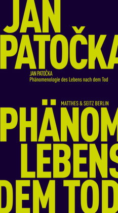 Phänomenologie des Lebens nach dem Tod