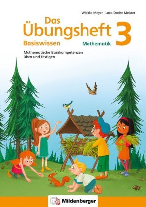 Das Übungsheft Basiswissen Mathematik. Bd.3