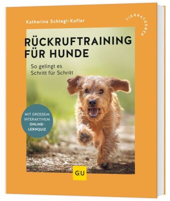 Rückruftraining für Hunde