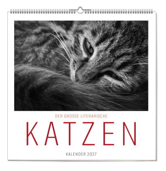 Der grosse literarische Katzen Kalender 2027