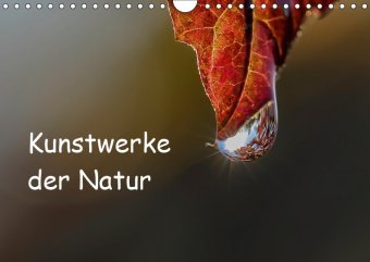 Kunstwerke der Natur (Wandkalender 2019 DIN A4 quer)