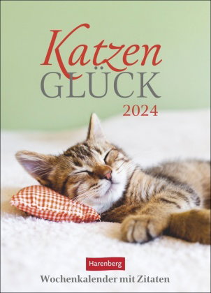 Katzenglück Wochenkalender 2024. Jede Woche eine süße Katze in dem kleinen Fotokalender. Passende Zi