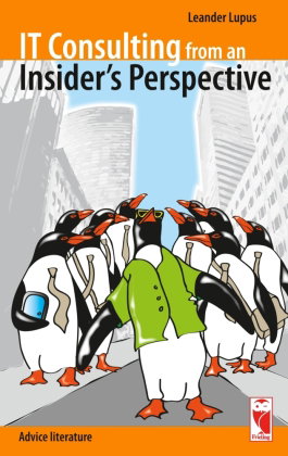 IT Consulting from an Insider's Perspective
