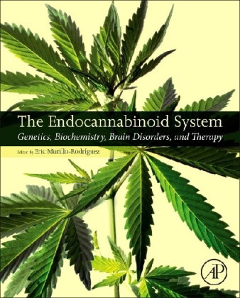 The Endocannabinoid System