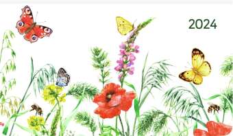 Ladytimer Pad Butterflies 2024 - Taschen-Kalender 15,6x9 cm - Schmetterlinge - Weekly - 128 Seiten -