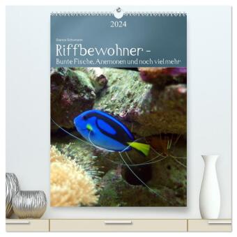 Riffbewohner - Bunte Fische, Anemonen und noch viel mehr (hochwertiger Premium Wandkalender 2024 DIN