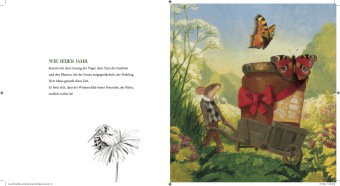 Die Bärin auf der Suche nach der Kälte