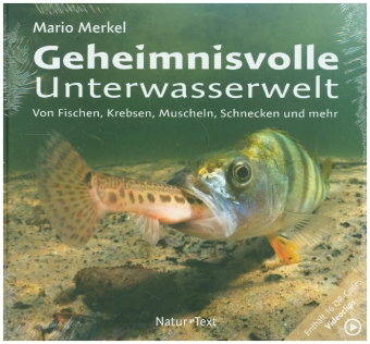 Geheimnisvolle Unterwasserwelt